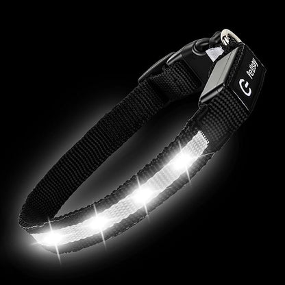 LED Dog Collar for XSmall Dogs & Toy Breeds – USB-C Rechargeable Light Up Dog Collar, Fully Waterproof Adjustable Glow Collar for Night Walking & Safety(White,XS)