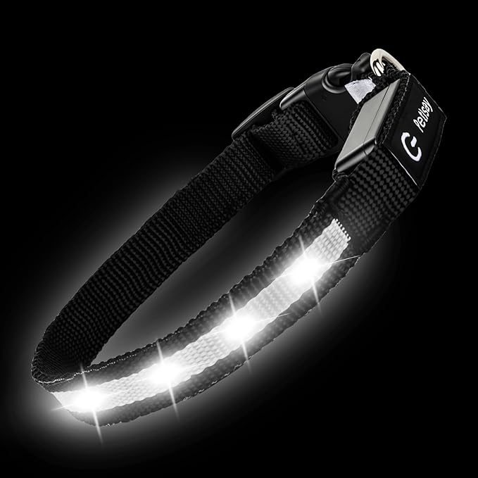 Super Bright LED Dog Collar - Fully Waterproof & Adjustable Glow Collar - USB-C Rechargeable for Night Walking, Safety - Flashing Lighted Collar for Dogs(White,S)