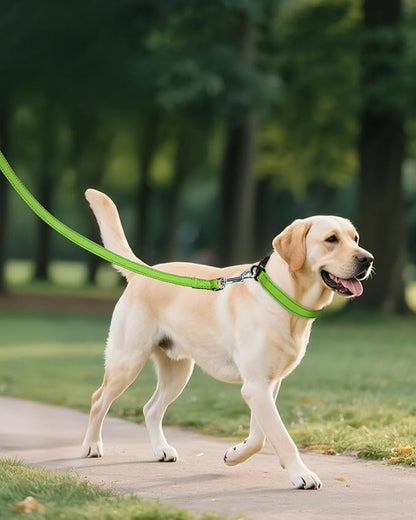 Joytale Dog Collar for Large Dogs, Strong Double-Sided Reflective Nylon Collar for Night Safety, Adjustable Quick-Release for Daily Walking, Green, L (1" Width)