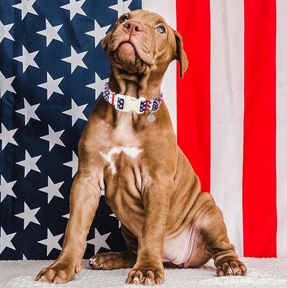 DOGWONG Cotton Dog Collar - 4th of July Patriotic Puppy Necklace for Small to Large Dogs, Soft Natural Fabric, Blue Star