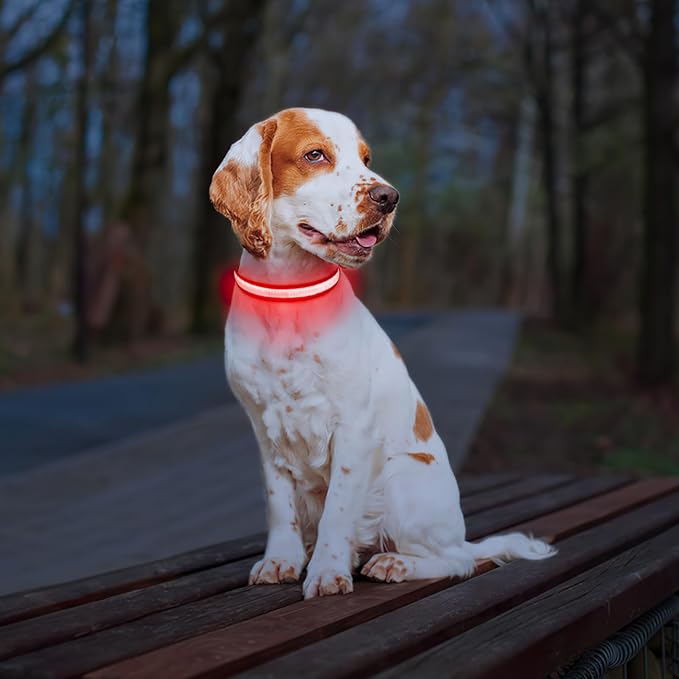 PcEoTllar Light up Dog Collar for Night Walking - LED Dog Collar Light Rechargeable Color Changing, Glow in the Dark Dog Collars Waterproof Glowing Dog Collars for Large Small Medium Dogs