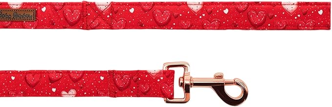 Dog Leash，Valentine's Red Love-Heart Print Pet Leash Comfortable Padded Boy/Girl Durable Heavy Duty Leashes for Small Medium Large Dogs