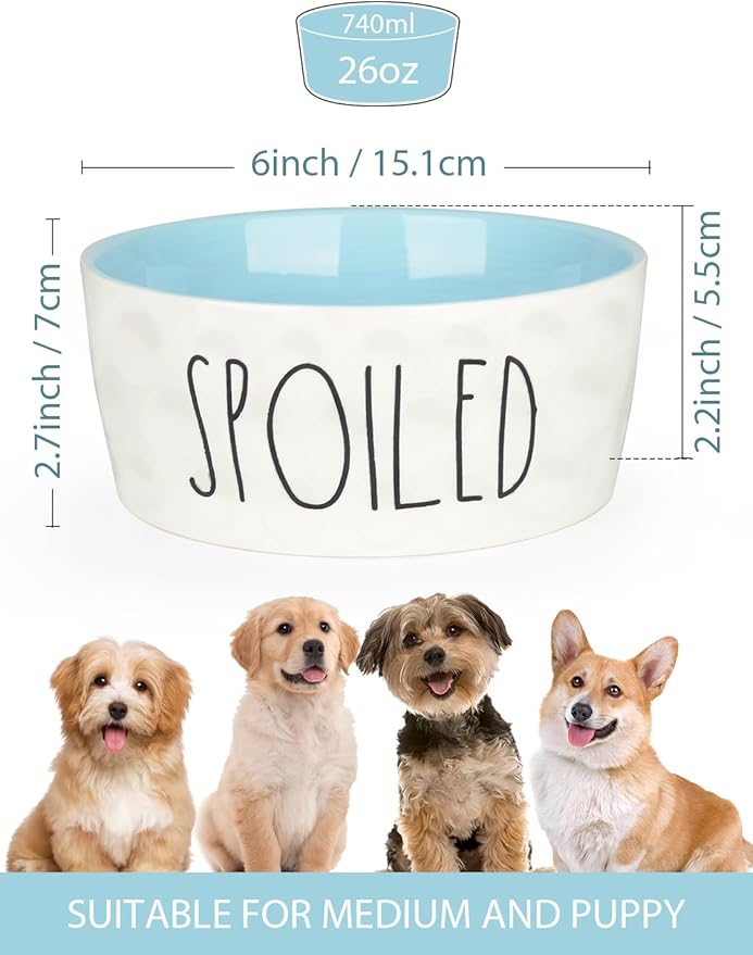 27OZ Ceramic Dog Bowl - 6 Inch Small Food Water Bowl, Heavy Duty Non-Slip Dog Dish for Medium Dogs, Food Grade Porcelain Pet Feeder Bowls, Microwave & Dishwasher Safe, Blue