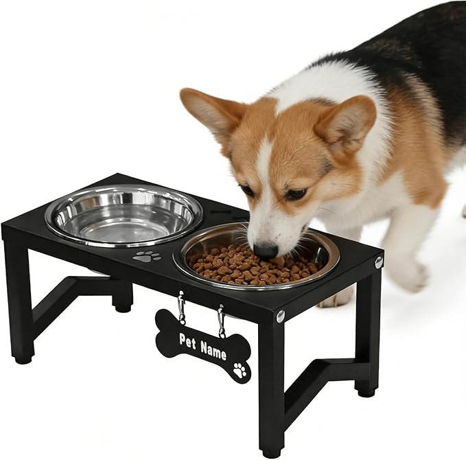 Elevated Dog Bowls, Metal Raised Dog Bowl Stand with 2 Thick 34oz Stainless Steel Food Bowls- 6.6" Tall for Small/Medium Breeds