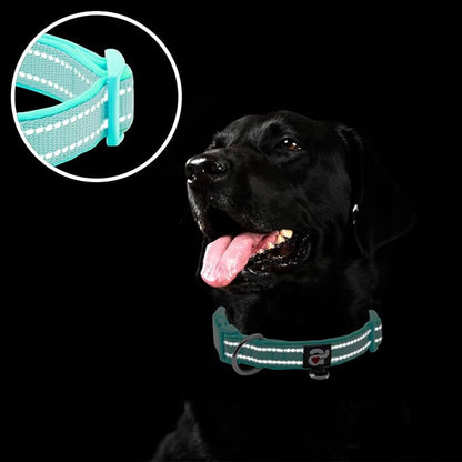 azuza Reflective Dog Collar,Soft Neoprene Padded Pet Collar with ID Tag Ring,Adjustable for Small Dogs,Teal,S