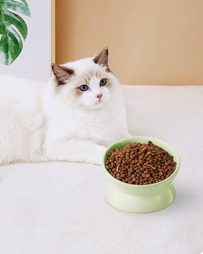 LoeJan Elevated Cat Food Bowl, 5 Oz Ceramic Raised and Tilted Water Bowl, Anti Vomiting and Protect Pets' Spines Dishes for Small Dog, Fat Faced Cat, Kitten (Green, 2 Pack)
