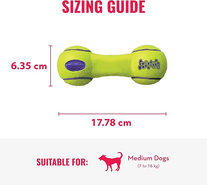 Squeaker Dumbbell Medium