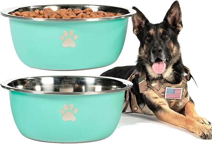 Large Dog Water Bowl 2 Pack, 0.75 Gallon 96oz Stainless Steel Metal Dog Food Bowl for Medium Large Dogs, Aqua