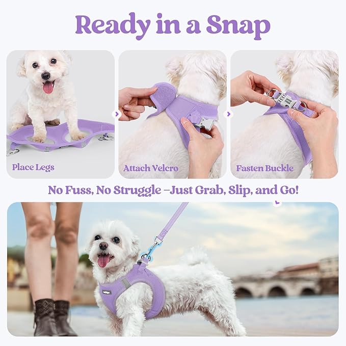 rabbitgoo Dog Harness Small Medium Sized and Leash Set, Step in Soft Light Puppy Vest, Breathable Mesh Pet Harness, Reflective for Safe Easy Walking, Light Purple XL