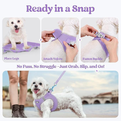 rabbitgoo Dog Harness Medium Sized and Leash Set, Step in Soft Light Puppy Vest, Breathable Mesh Pet Harness, Reflective for Safe Easy Walking, Light Purple XXL