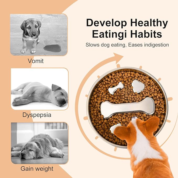 Stainless Steel Slow Feeder Dog Bowls with Pet Feeding Mat,2 Pcs Slow Food Bowl for Dog & Cat - 2 Cups Capacity,with Absorbent Pet Placemat,Puzzle Maze Dish for Small & Medium Sized Breeds