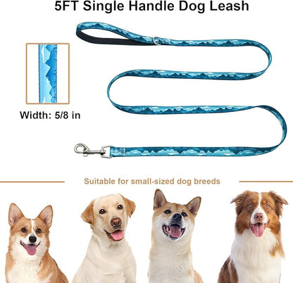 5ft Nylon Dog Leash with Soft Neoprene Handle for Small Dogs, Blue Sunset