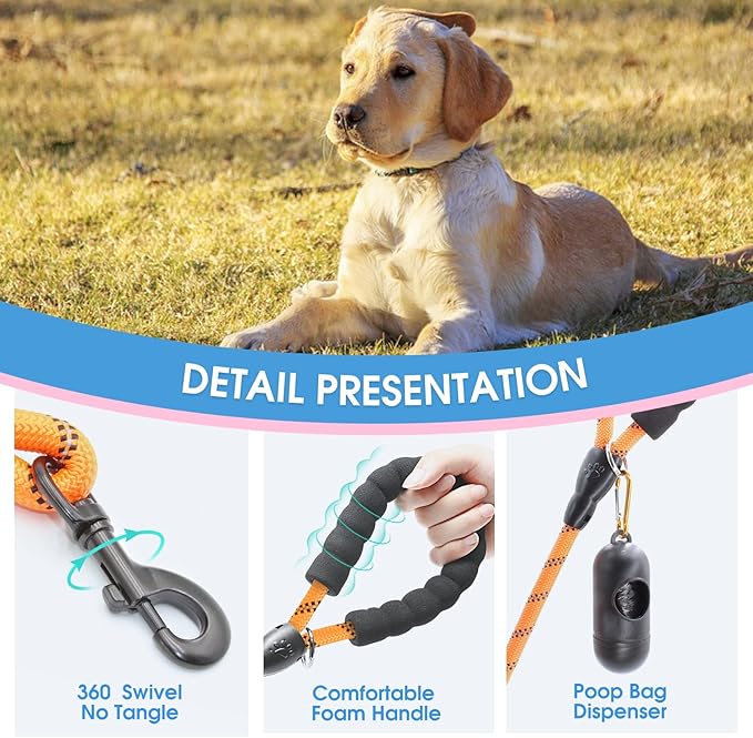 BAAPET 2/4/5/6 FT Dog Leash with Comfortable Padded Handle and Highly Reflective Threads for Small Medium and Large Dogs (6FT-1/2'', Orange)
