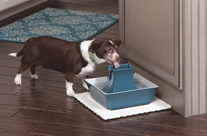 PetSafe Drinkwell Pagoda Fountain - Hygienic Ceramic Continuous Flowing Fountain - Elevated Upper Bowl & Double Free-Falling Stream Design - Minimalist Pet Hydration Station - 70 oz Capacity