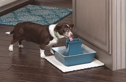 PetSafe Drinkwell Pagoda Fountain - Hygienic Ceramic Continuous Flowing Fountain - Elevated Upper Bowl & Double Free-Falling Stream Design - Minimalist Pet Hydration Station - 70 oz Capacity
