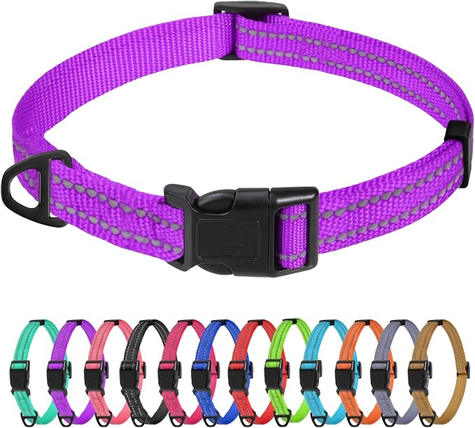 TagME Reflective Nylon Dog Collars, Adjustable Classic Pet Collar with Quick Release Buckle for Extra Small Dogs, Purple, 5/8" Width