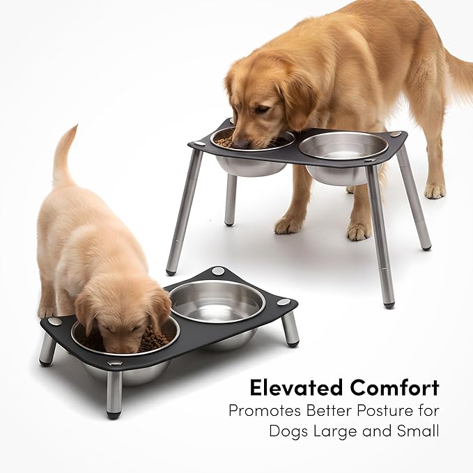 Adjustable Elevated Dog Bowl 56 fl oz Stainless Steel Bowls