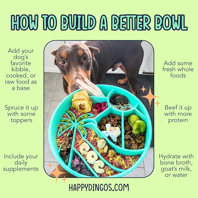 Loco Coco Interactive Slow Feeder Bowl - Silicone with Suction Cups, Dishwasher Safe - to Reduce Bloating, Anti-gulping, Improve Digestion, Dog Enrichment Game