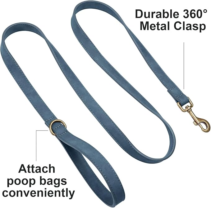 Didog Stylish PU Leather Dog Leash for Small Dogs, Easy to Clean 5ft Small Dog Leash with Metal Tangle-Free Clip, Fashionable and Elegant for Walking, Running and Training,Blue, S