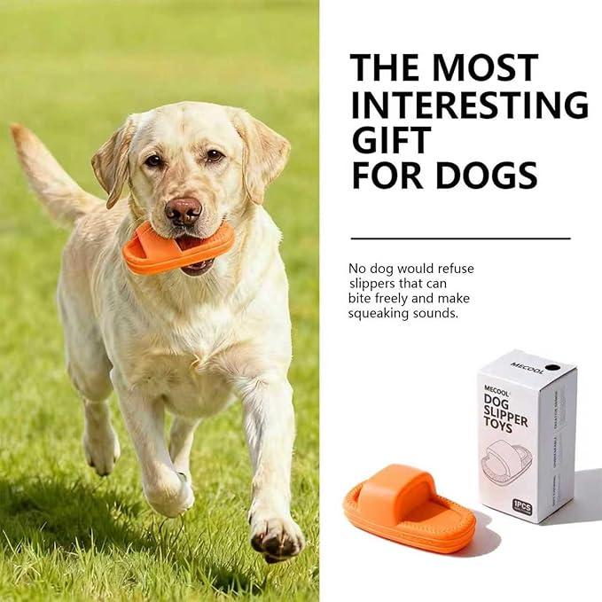 MECOOL Dog Toy Unbreakable Slippers Squeaky Dog Toys for Teehing Chewing Size for Medium and Samll Breeds (Orange)