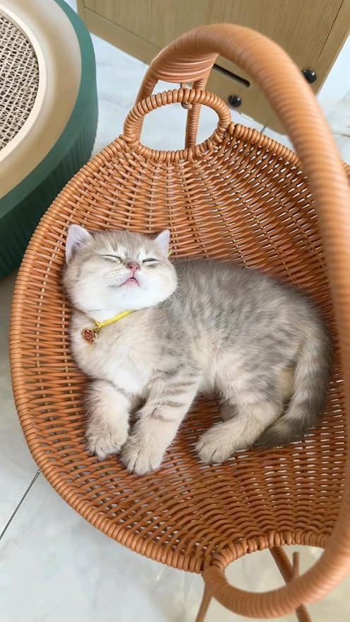 Cat Cradle Hammock Rattan Styles Cute Creative Hanging Kit with Stand Cups, Indoor Outdoor Hanging Swing Bed for Cats, Small Dogs & Small Animals, Ideal for Sleeping, Playing & Lounging (Small)