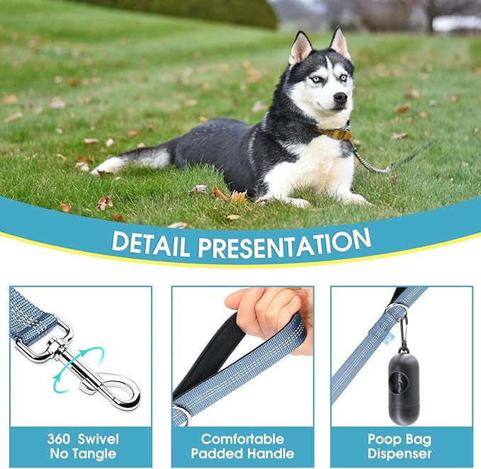 BAAPET Two Handle Dog Leash, Dual Soft Padded Handles with Traffic Control Handle Leash for Small Medium or Large Dogs (3/4'' x 5 FT, Grey)