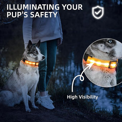 LED Dog Collar for Small Dogs Cats - Fully Waterproof & Adjustable Glow Collar - USB-C Rechargeable for Night Walking, Safety - Flashing Lighted Collar for Dogs(Orange,S)