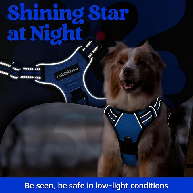 rabbitgoo Dog Harness Medium Sized, No Pull Dog Vest with 3 Buckles, Adjustable Soft Padded Pet Harness with Easy Control Handle and Reflective Strips, Royal Blue, M