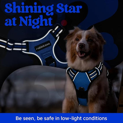 rabbitgoo Dog Harness Medium Sized, No Pull Dog Vest with 3 Buckles, Adjustable Soft Padded Pet Harness with Easy Control Handle and Reflective Strips, Royal Blue, M