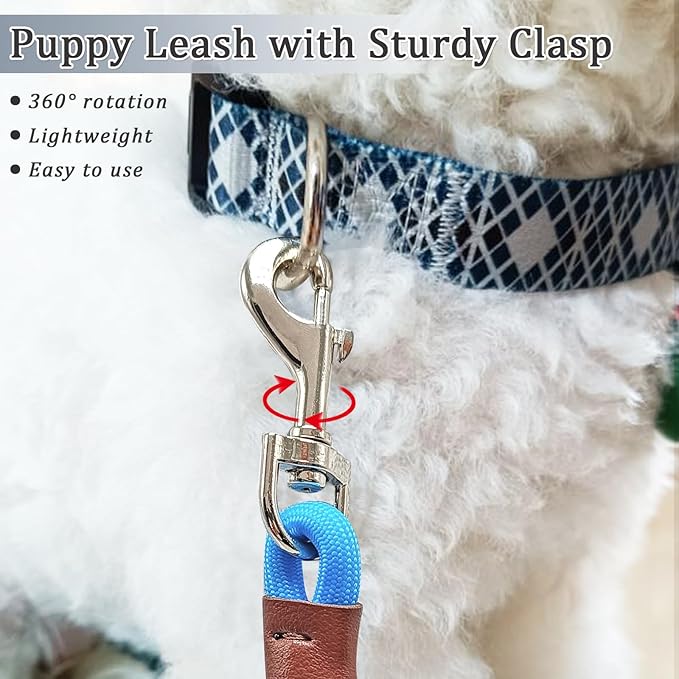 WYuZe 5ft Puppy Leash for Small Dogs, 1/4" Thin Rope Dog Leash with Easy to Use Hook, Teddy/Yorkie/Tiny Breed Lightweight Leashes-Behavioral Training Walking, 10 Colors, Blue