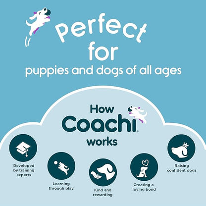 Coachi Tuggi Spider - Interactive Dog Toy for Tug of War & Play. Strong & Comfortable, Stretchy Bungee Handle, Reward Training, Interrupting Biting & Chewing. Ideal for Agility & Suitable for Puppies