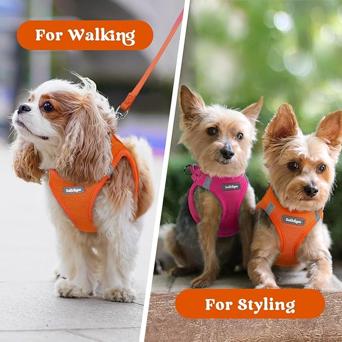 rabbitgoo Small Dog Harness, Step-in Soft Mesh Puppy Vest with Safety Buckle, Breathable Reflective Pet Harness for Small Sized Dogs, Orange XS