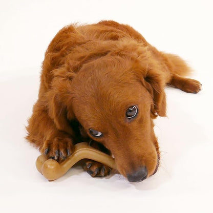 Nylabone Gourmet Style Wishbone Strong Chew Toy for Dogs, Chicken Flavor, Small - Up to 25 lbs, 1 Count