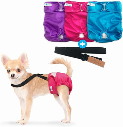 Paw Inspired Reusable Washable Dog Diapers (Pack of 3) in Assorted Colors with White Lining and Dog Diaper Suspenders in Black Combo Pack (X-Small)