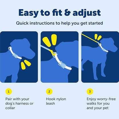 PetSafe Nylon Leash - Chew-Resistant Cat & Dog Behavioral Training Leash - Compatible with Easy-Walk Harness - Traditional-Style Reliable Pet Lead with a Padded Hand Wrap - 3/4" x 4' - Red