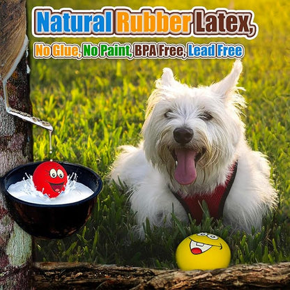 Squeaky Dog Toys for Small and Mini Dogs, Latex Soft Flat Puppy Teething Balls, Colorful Smile Face Interactive Chew Toys