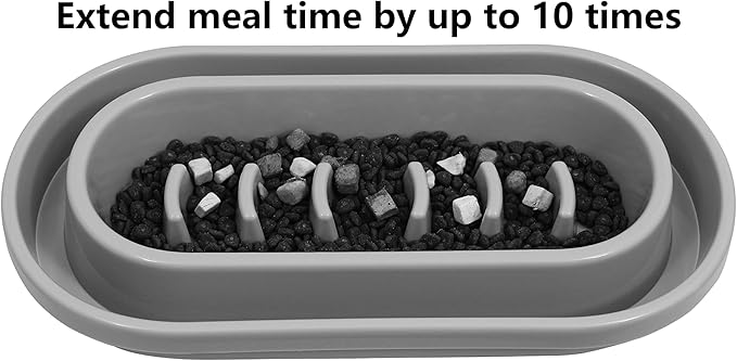 Ant Proof Slow Feeder Cat Dog Bowls, No Ants Anti-Slip No Spill Cat Dog Pet Slow Feeder Food Water Bowls Dish for Cats Small to Medium Size Dogs by With You6688 (Grey)