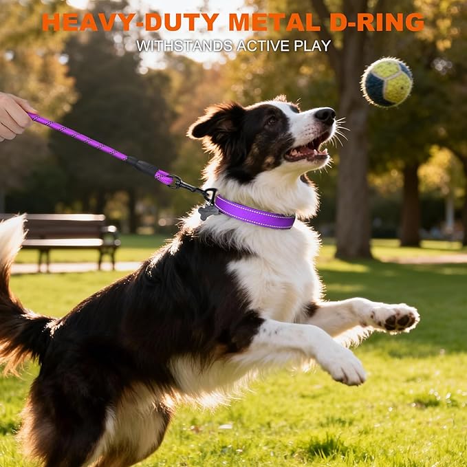 Taglory Reflective Dog Collar with Safety Locking Buckle, Soft Neoprene Padded Dog Collar for Medium Dogs, Metal D-Ring, Adjustable Nylon Neck Strap for Daily Walking, Training & Running, Purple, M