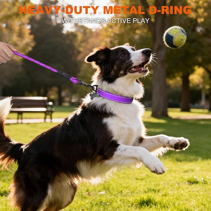 Taglory Reflective Dog Collar with Safety Locking Buckle, Soft Neoprene Padded Dog Collar for Medium Dogs, Metal D-Ring, Adjustable Nylon Neck Strap for Daily Walking, Training & Running, Purple, M
