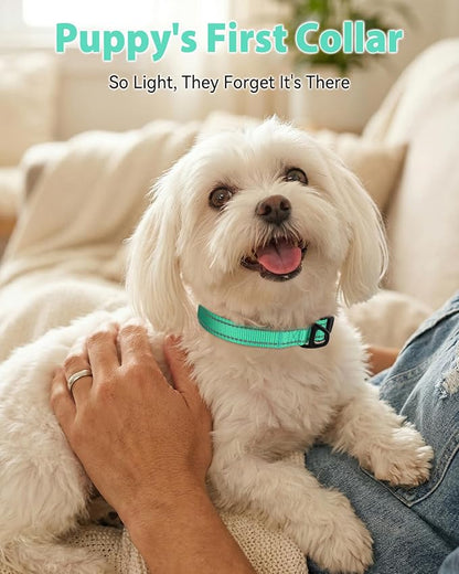 Joytale Small Dog Collar, Durable Double-Sided Reflective Nylon Collar for Night Safety, Adjustable Quick-Release for Active Breeds, Teal, S (3/4" Width)
