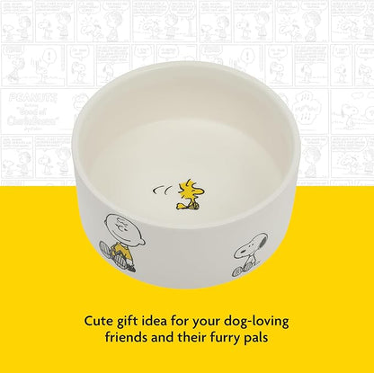 Peanuts Snoopy & Charlie Brown 6" Stoneware Dog Food Bowl – for Small to Medium Dogs – Cute Cartoon Pet Dish, Durable & Easy to Clean – Puppy Feeding