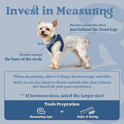 rabbitgoo Small Dog Harness, Step-in Soft Mesh Puppy Vest with Safety Buckle, Breathable Reflective Pet Harness for Small Medium Dogs, Navy Blue XL