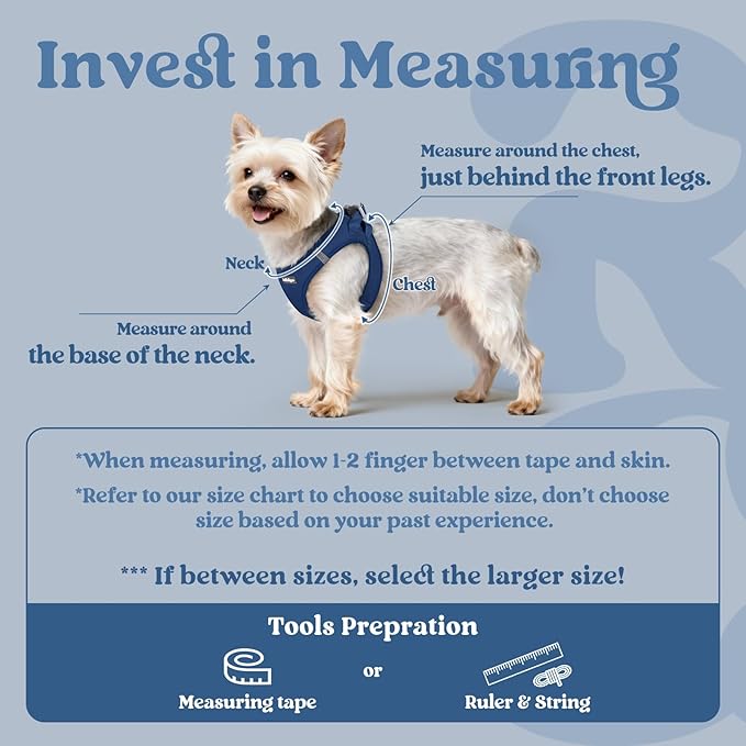rabbitgoo Small Dog Harness, Step-in Soft Mesh Puppy Vest with Safety Buckle, Breathable Reflective Pet Harness for Large Dogs, Navy Blue XXL