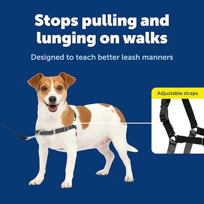 PetSafe Easy Walk Harness for Dogs - Pull-Free Walks - Patented Martingale Loop Design - Front Chest Leash Attachment - Comfort Straps - Breathable Harness Design - Small, Charcoal/Black