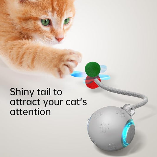 Interactive Cat & Dog Ball Toys - Cat Toys for Indoor Cats with Speedy Tail 2.0, Dog Toy Ball & Cat Toys, Motion-Activated, USB Rechargeable Birthday Gift for Cats and Dogs (Grey)