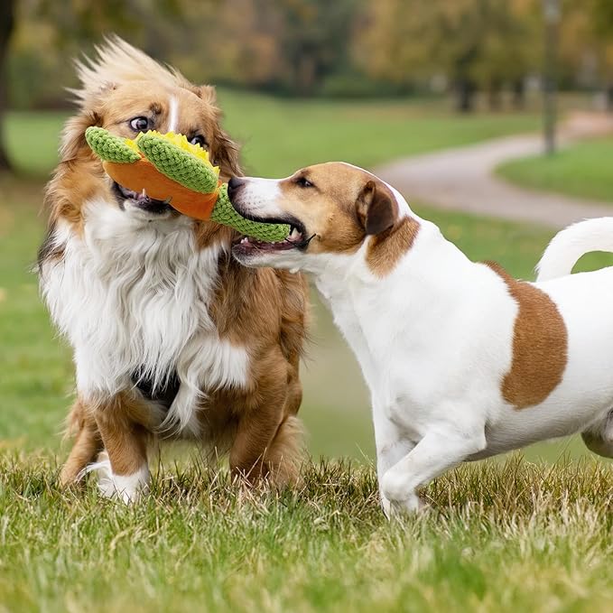 A Durable Dog Toy with Squeaker, Cute Turtle Design with Bright Color, Good for Both Chewing and Playing, 9.4 inches Design is Suitable for Medium and Large Dogs
