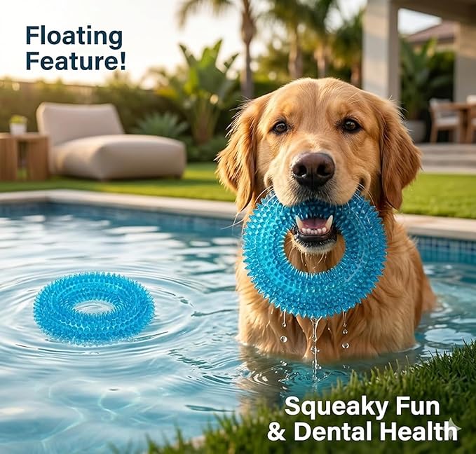 ADUCK Dog Squeaky Chew Toys for Aggressive Chewers, Small Medium Large Dogs Teeth Cleaning Soft Natural Rubber Float Toy for Indoor Outdoor Water Pool, Donut Ring Design 4.92 inch, Black