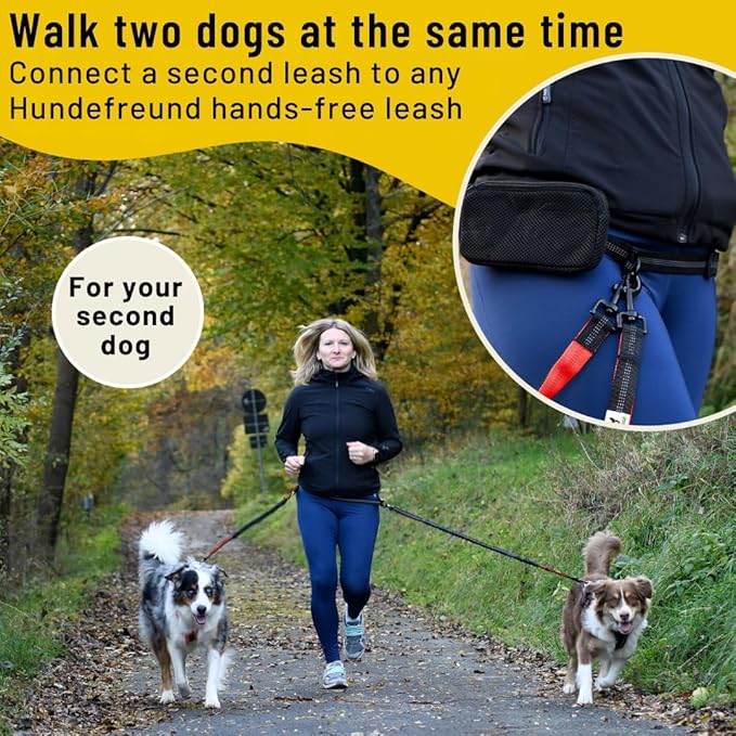 Hundefreund Hands-Free Dog Leash Replacement Bungee (47–67”) – Extension for Medium & Large Dogs – Shock-Absorbing with Dual Handles & Reflective Stitching (Red)