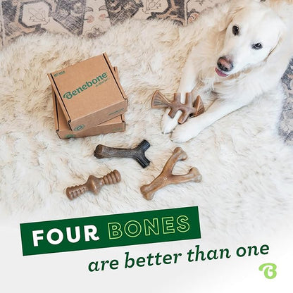 Benebone Medium 4-Pack Dog Toys for Aggressive Chewers – Durable Dog Bones, Made in USA – Dog Toys for Medium Dogs Under 60 lbs