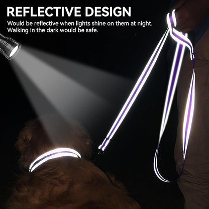 Joytale Dog Leash, 6 FT Double-Sided Reflective, Padded Handle Nylon Heavy Duty Leashes for Small Dogs Walking, Purple